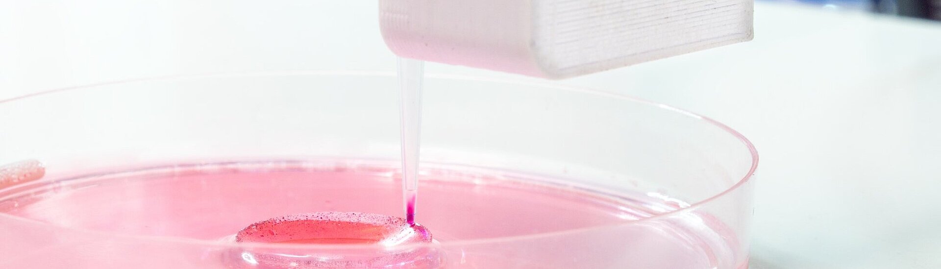 Physik Instrumente – 3D Bioprinting